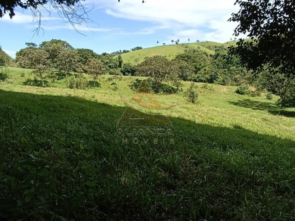 Fazenda, 581 hectares - Foto 2