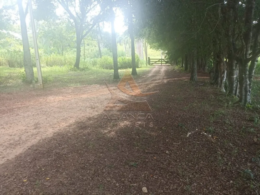Fazenda, 581 hectares - Foto 3