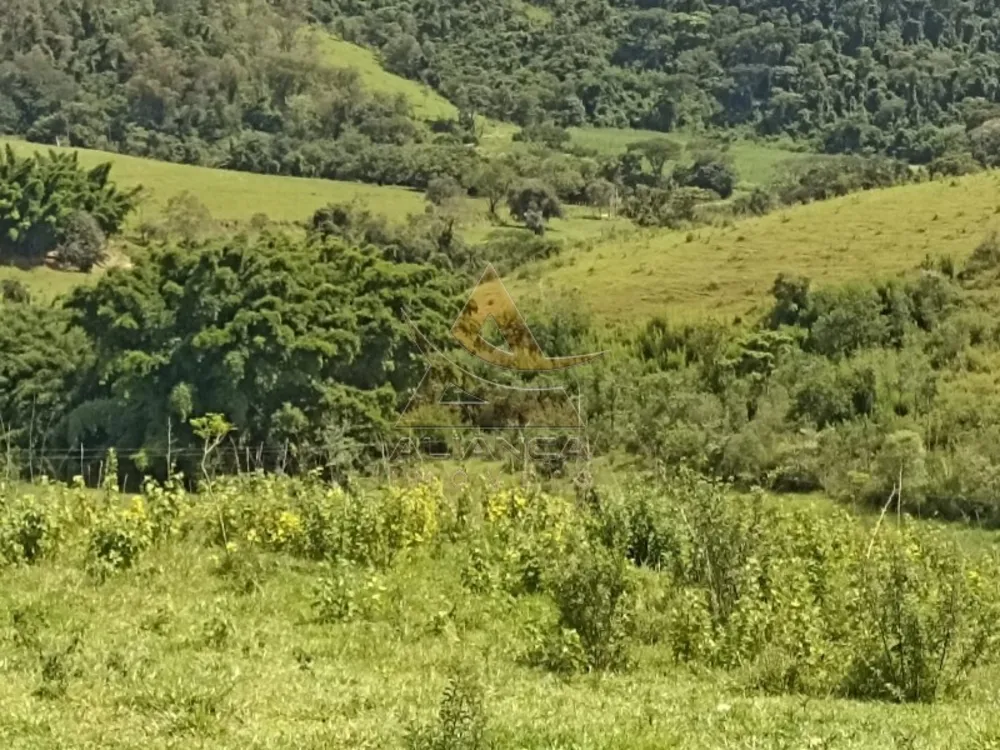 Fazenda, 581 hectares - Foto 5