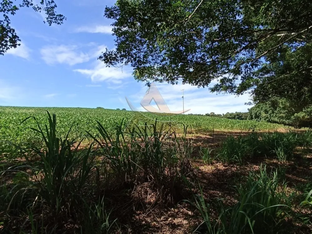 Fazenda, 581 hectares - Foto 6
