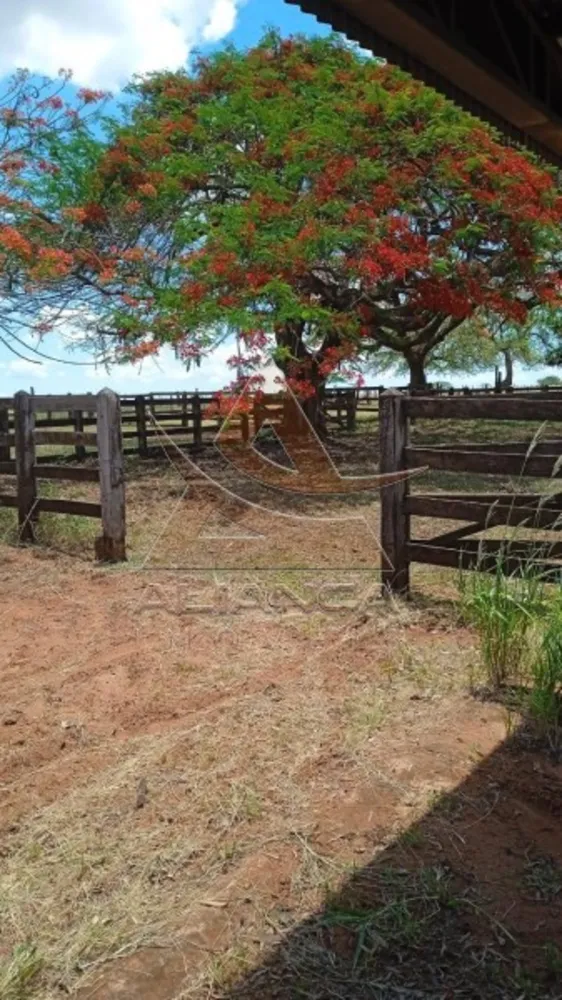 Fazenda, 540 hectares - Foto 1