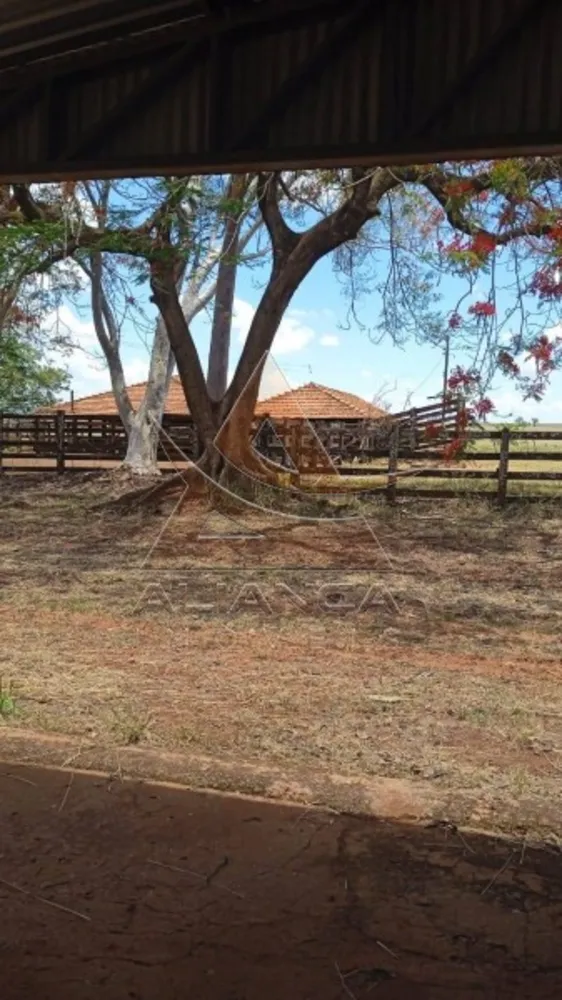 Fazenda, 540 hectares - Foto 2