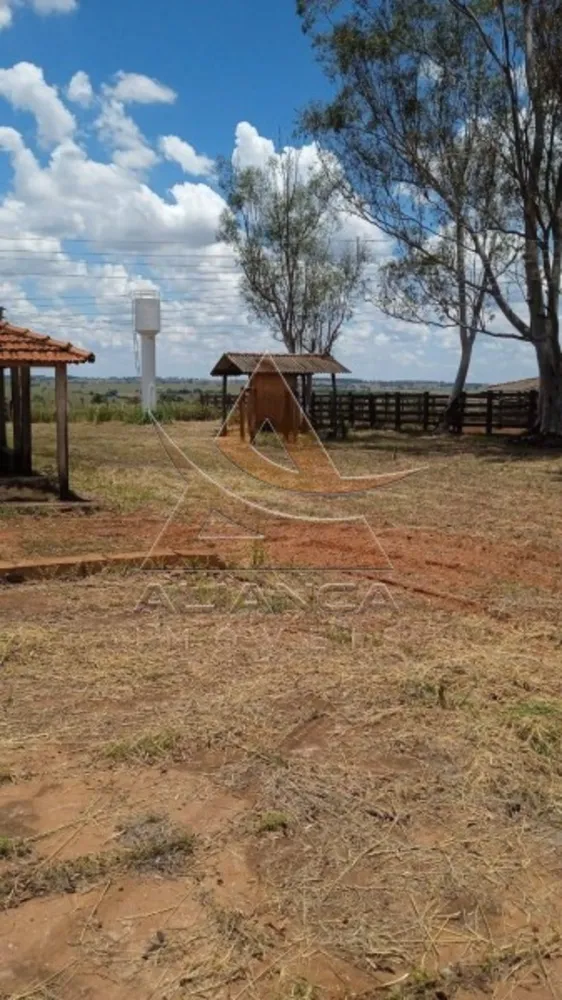 Fazenda, 540 hectares - Foto 7