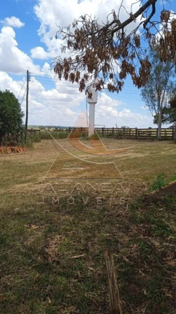 Fazenda, 540 hectares - Foto 3