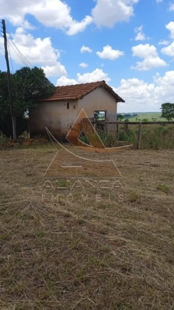 Fazenda, 540 hectares - Foto 6