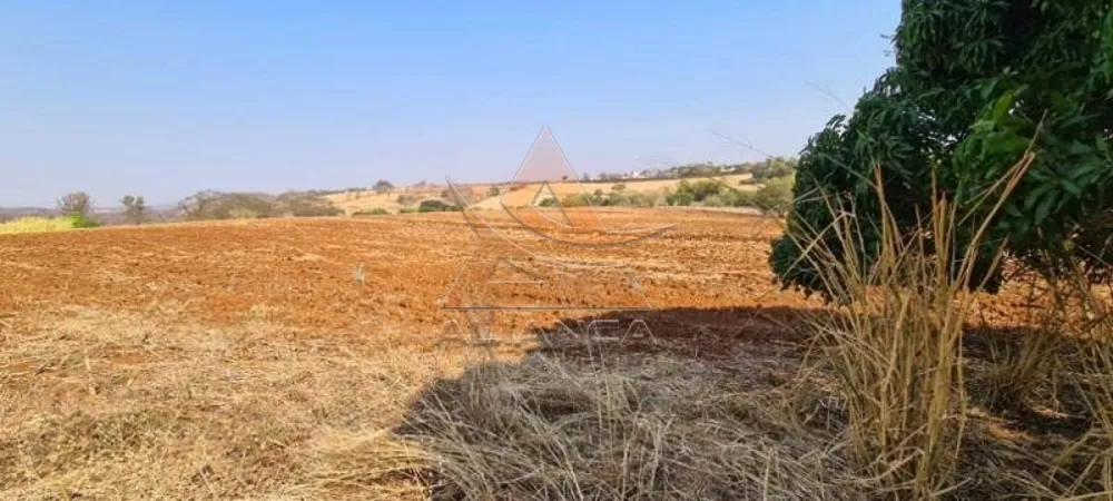 Terreno, 8 hectares - Foto 3