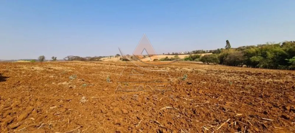 Terreno, 8 hectares - Foto 1