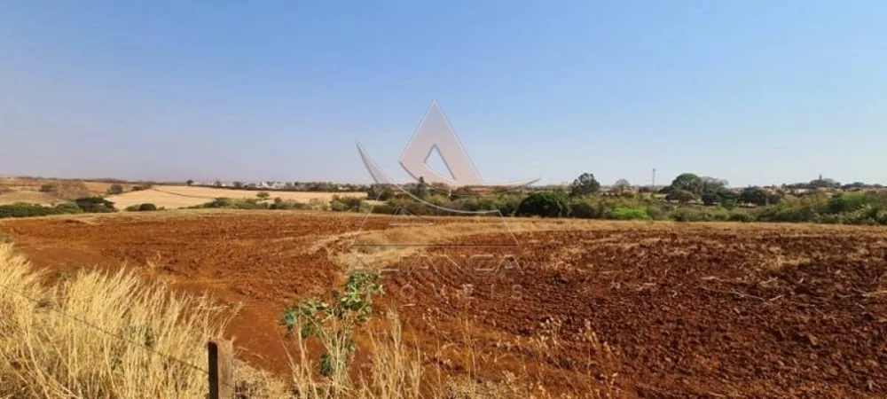 Terreno, 8 hectares - Foto 11