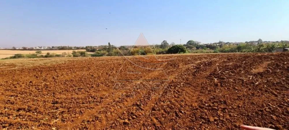 Terreno, 8 hectares - Foto 10