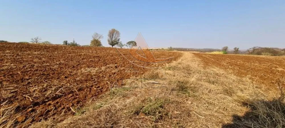 Terreno, 8 hectares - Foto 5