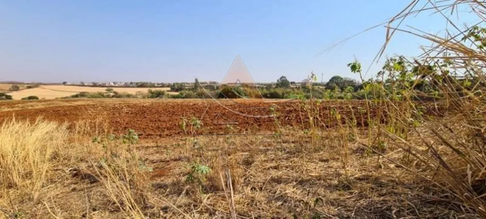 Terreno, 8 hectares - Foto 9