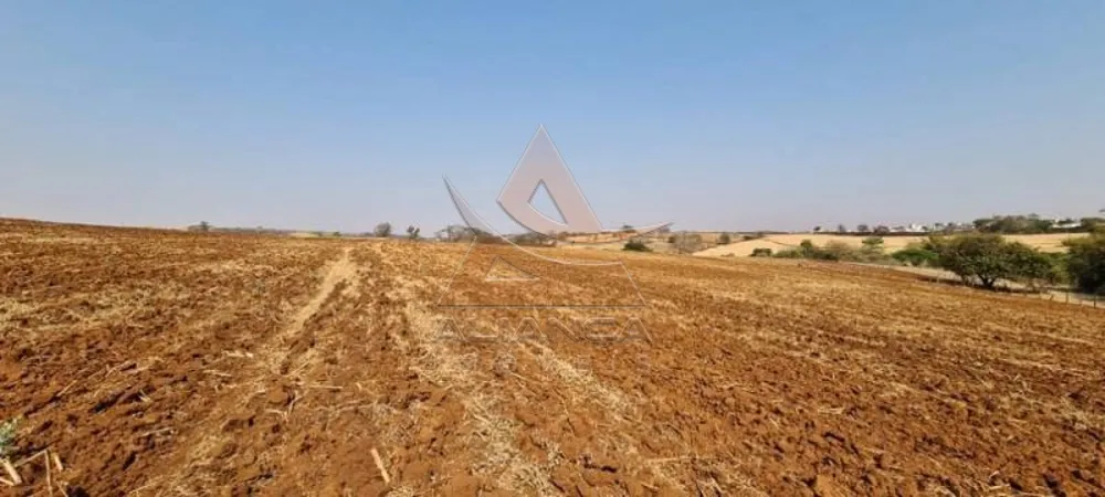 Terreno, 8 hectares - Foto 6