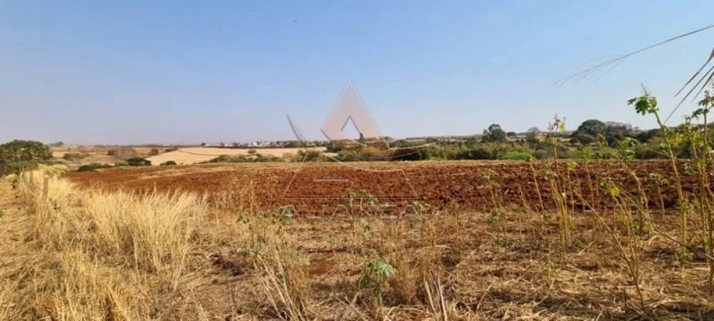 Terreno, 8 hectares - Foto 8