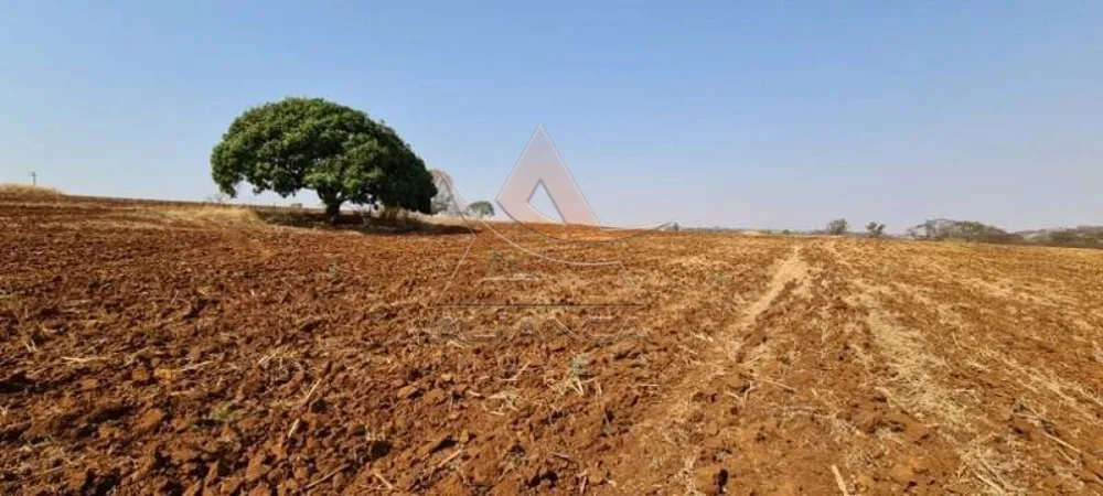 Terreno, 8 hectares - Foto 3