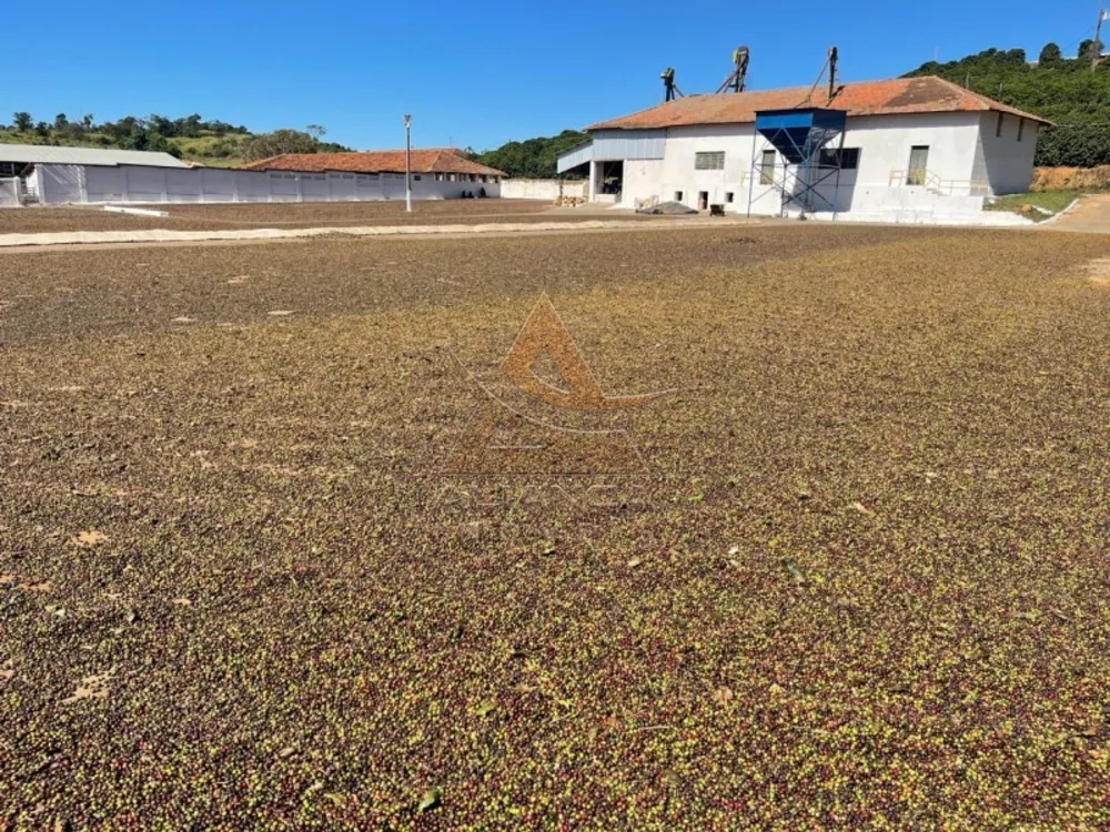 Fazenda, 729 hectares - Foto 7