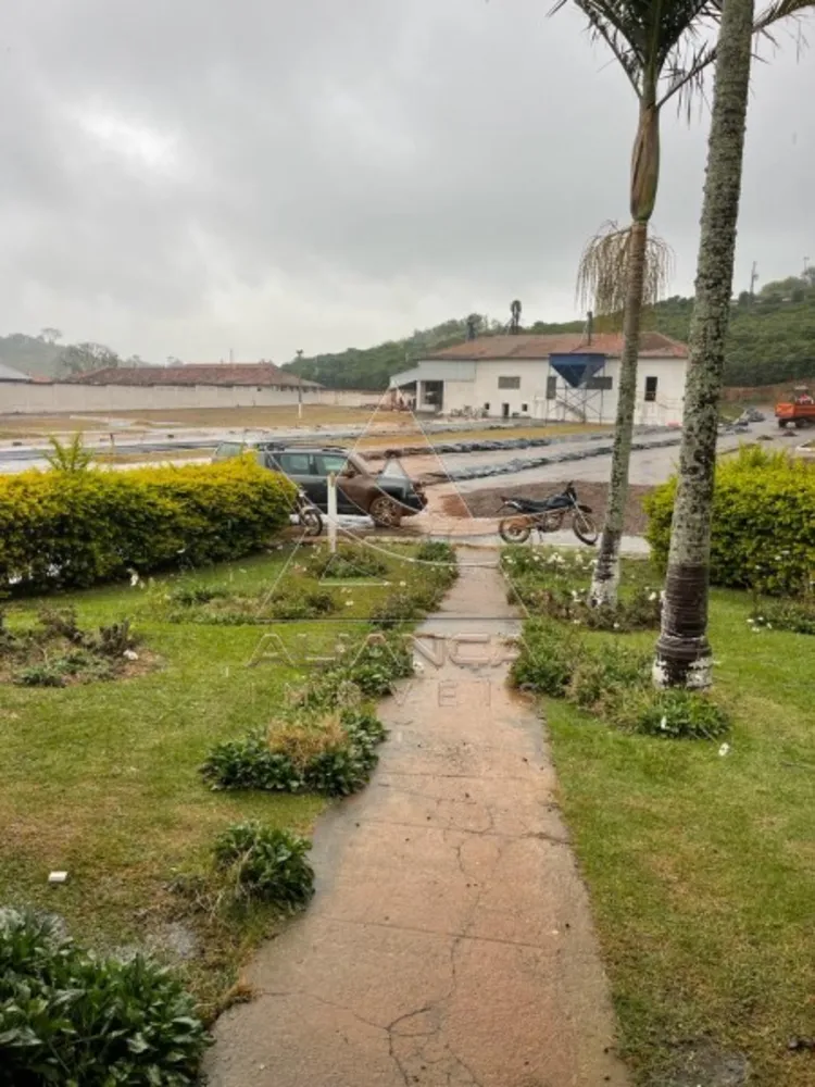 Fazenda, 729 hectares - Foto 6