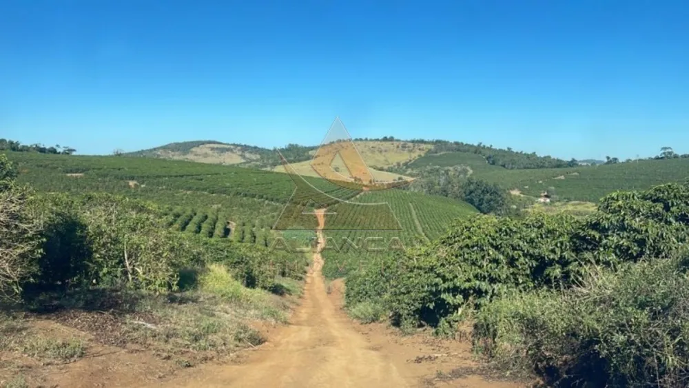 Fazenda, 729 hectares - Foto 2