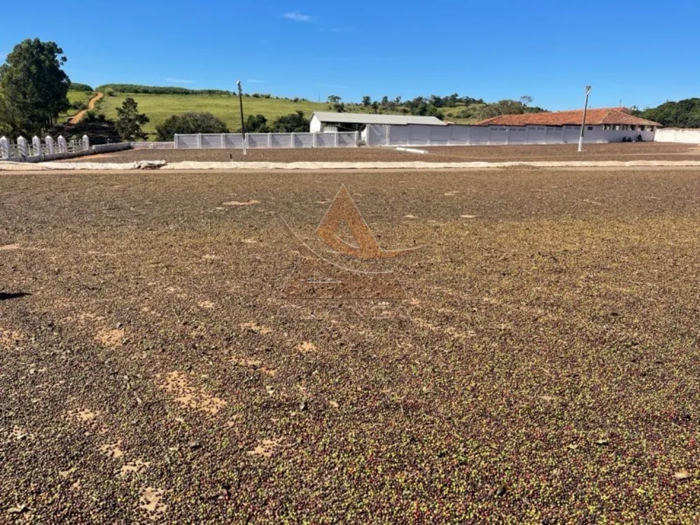 Fazenda, 729 hectares - Foto 8
