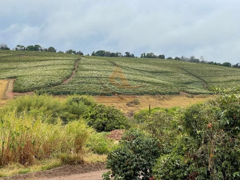 Fazenda, 729 hectares - Foto 4