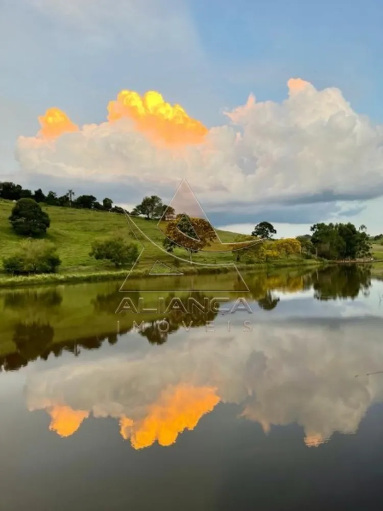 Fazenda, 729 hectares - Foto 3