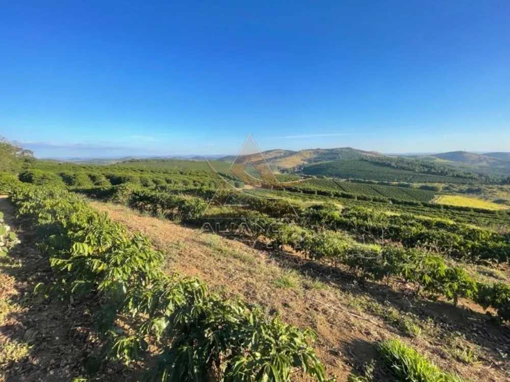 Fazenda, 729 hectares - Foto 1