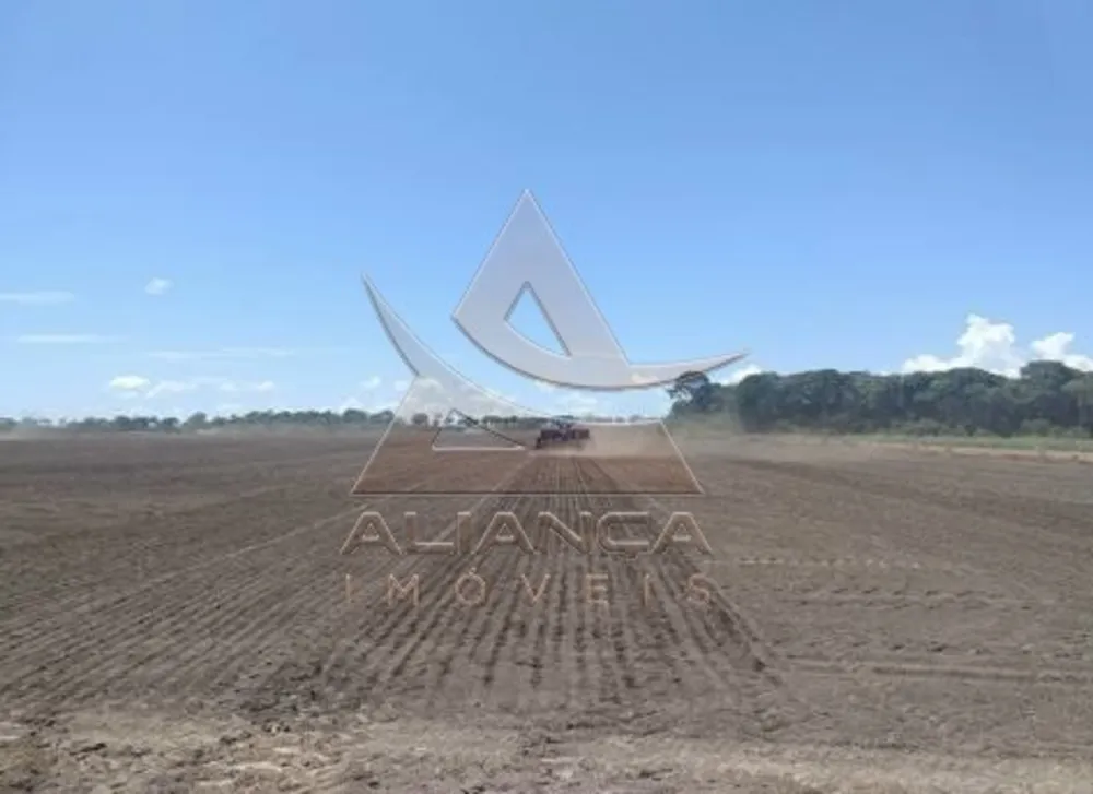 Fazenda, 29739 hectares - Foto 1