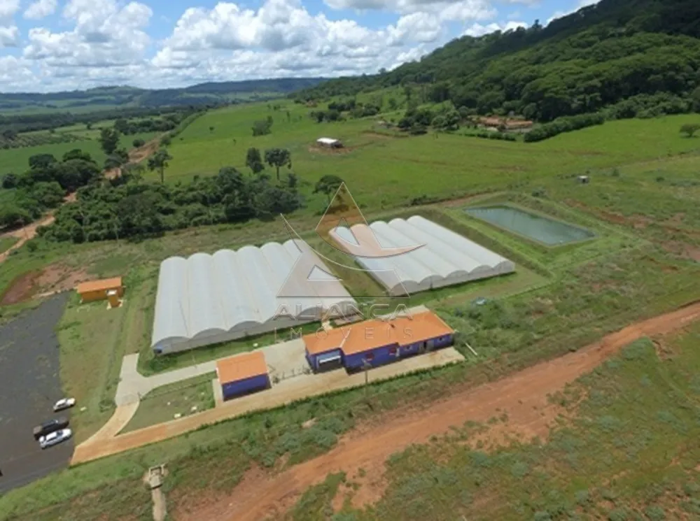 Sítio, 5 quartos, 13 hectares - Foto 1