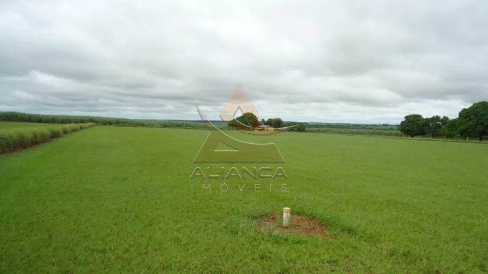 Fazenda, 3553 hectares - Foto 1