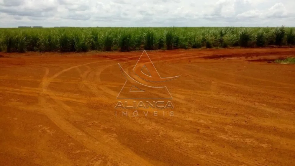 Fazenda, 3553 hectares - Foto 3