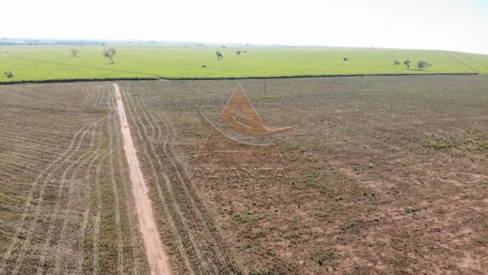 Fazenda, 3553 hectares - Foto 2