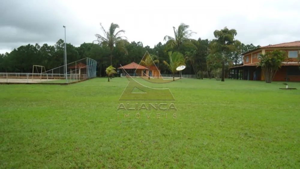 Fazenda, 3553 hectares - Foto 4