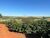 Fazenda, 125 hectares - Foto 3