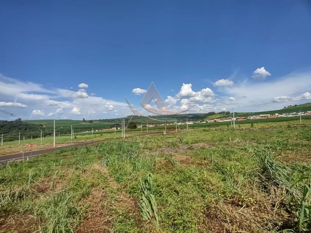 Terreno, 250 m² - Foto 2