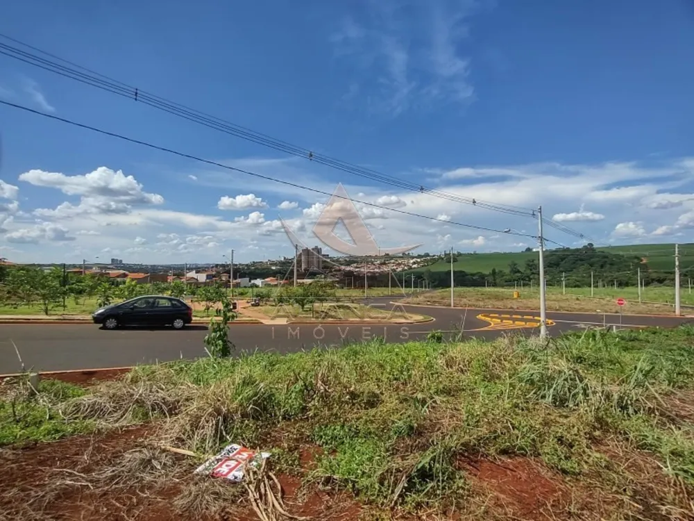Terreno, 250 m² - Foto 1