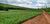 Fazenda, 266 hectares - Foto 3