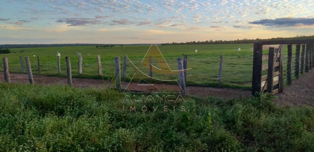 Fazenda, 9529 hectares - Foto 2