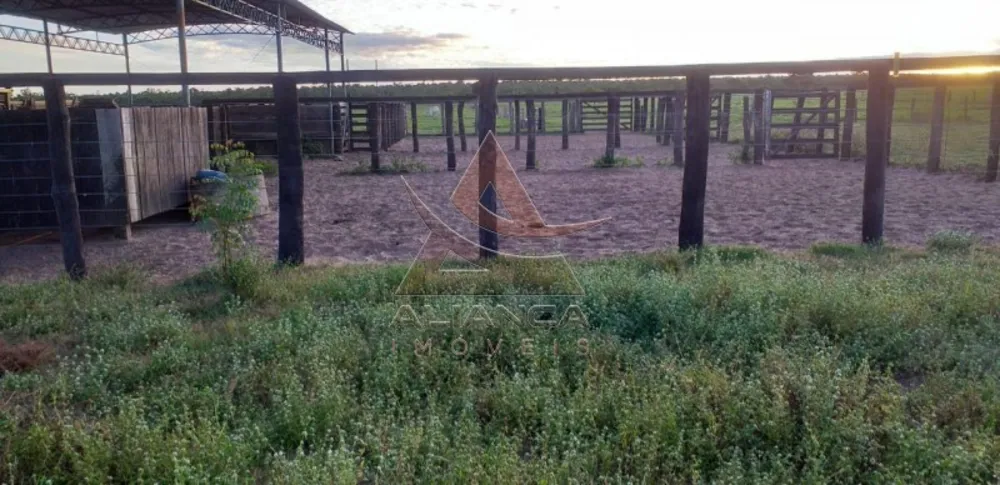 Fazenda, 9529 hectares - Foto 3