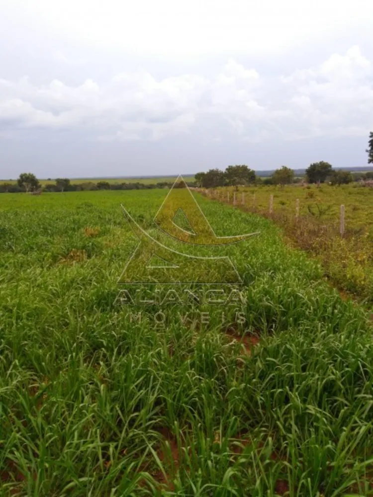 Fazenda, 9529 hectares - Foto 1
