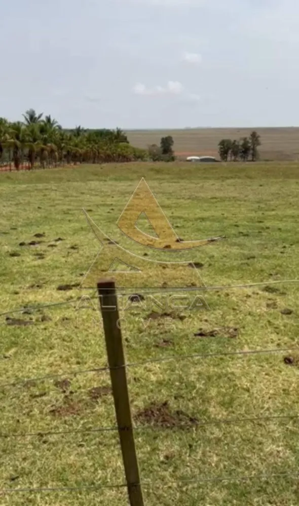 Fazenda, 457 hectares - Foto 7