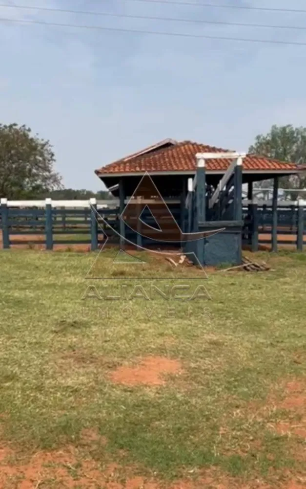 Fazenda, 457 hectares - Foto 8
