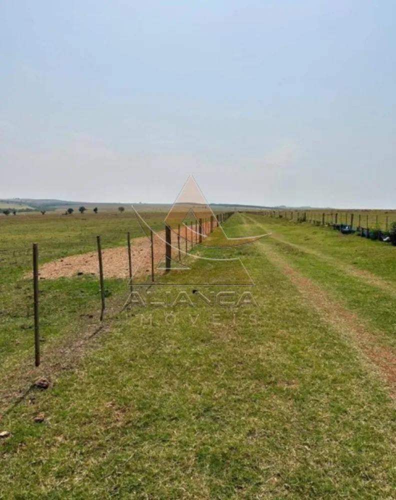 Fazenda, 457 hectares - Foto 4