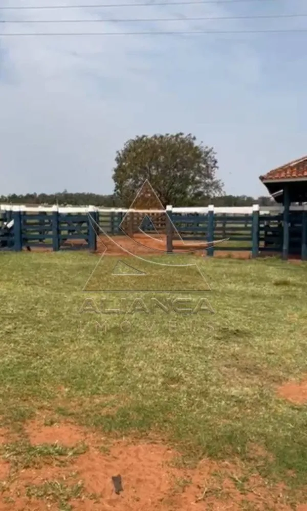 Fazenda, 457 hectares - Foto 2