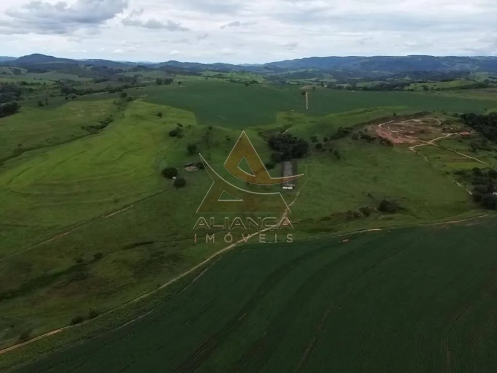 Fazenda, 227 hectares - Foto 2
