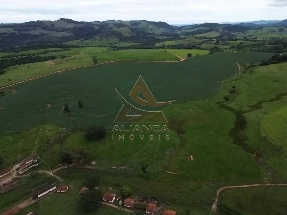 Fazenda, 227 hectares - Foto 6
