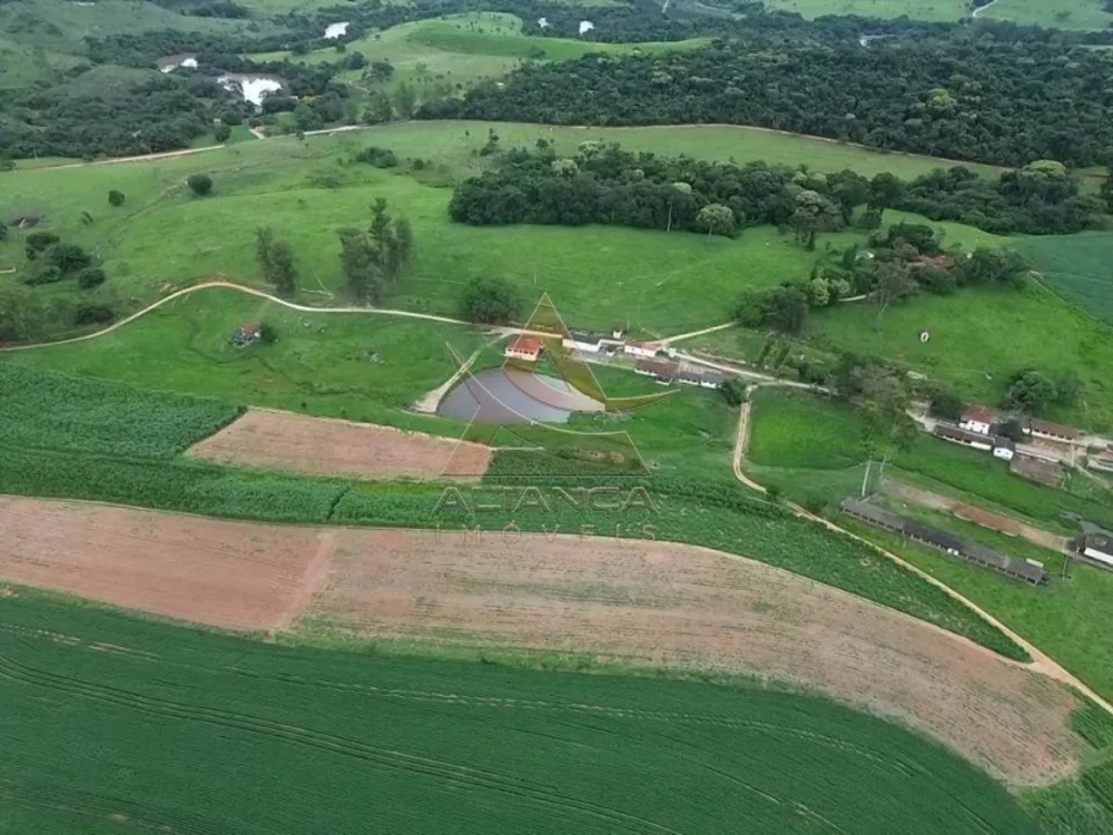 Fazenda, 227 hectares - Foto 1