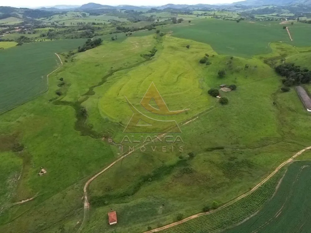 Fazenda, 227 hectares - Foto 7