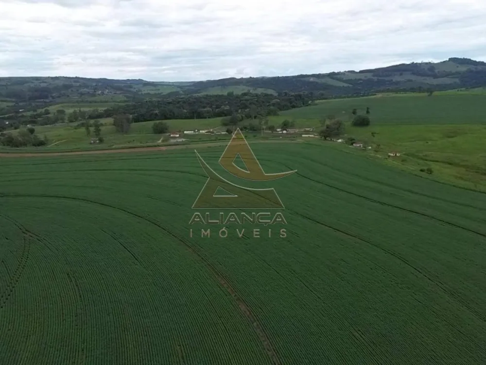 Fazenda, 227 hectares - Foto 3