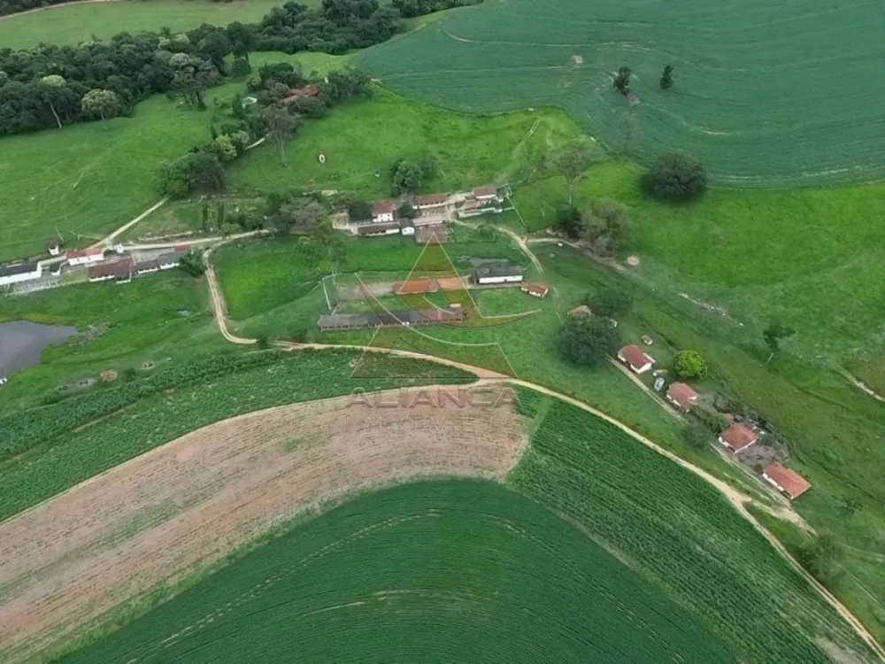 Fazenda, 227 hectares - Foto 4