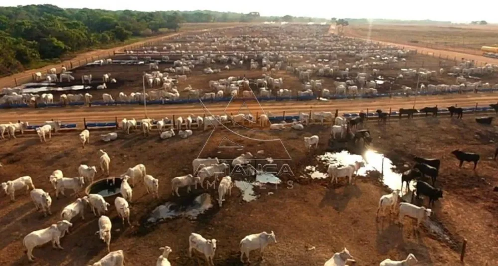 Fazenda, 6372 hectares - Foto 2