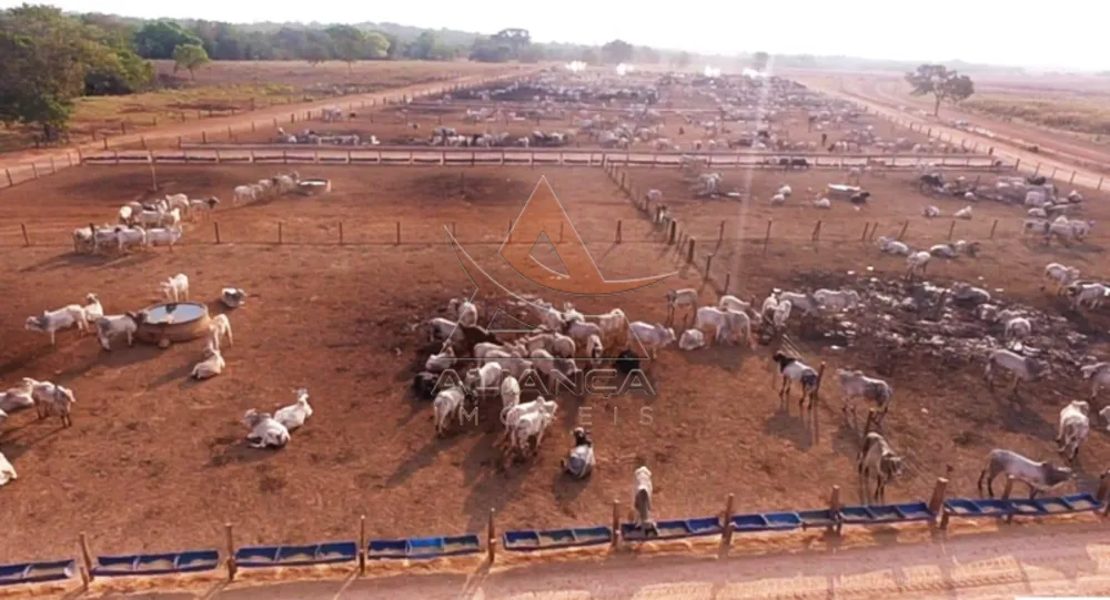 Fazenda, 6372 hectares - Foto 8